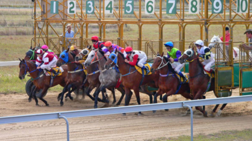 Horse Racing in Turkey