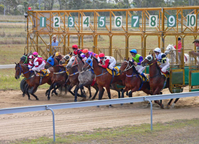 Horse Racing in Turkey